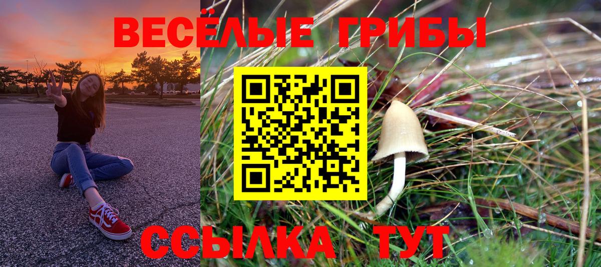 Армавир  Галлюциногенные грибы Cubensis  сколько стоит  Галлюциногенные грибы MAGIC MUSHROOMS  Вход с VPN 